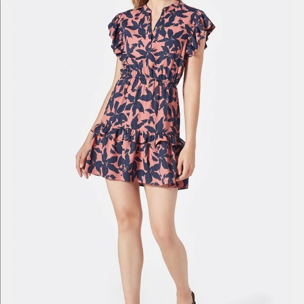 NWT Joie Krystina Dress